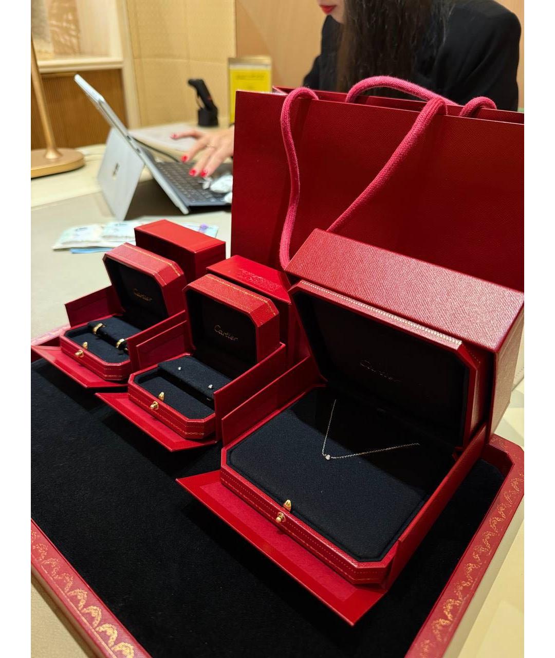 CARTIER Серебряное колье из белого золота, фото 3