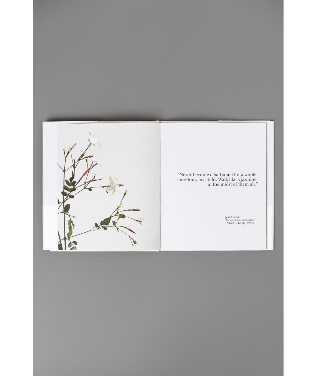 CHANEL Книга, фото 7