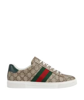 GUCCI Низкие кроссовки / кеды