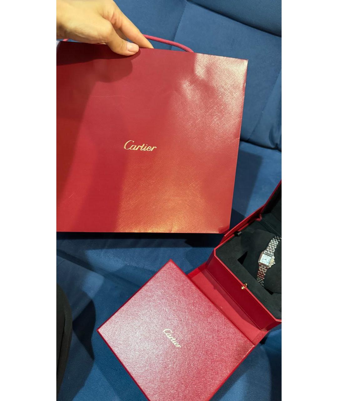 CARTIER Серые стальные часы, фото 6