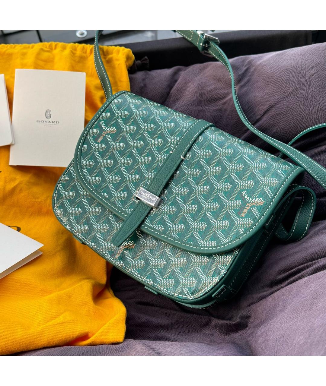 GOYARD Зеленая кожаная сумка на плечо, фото 2