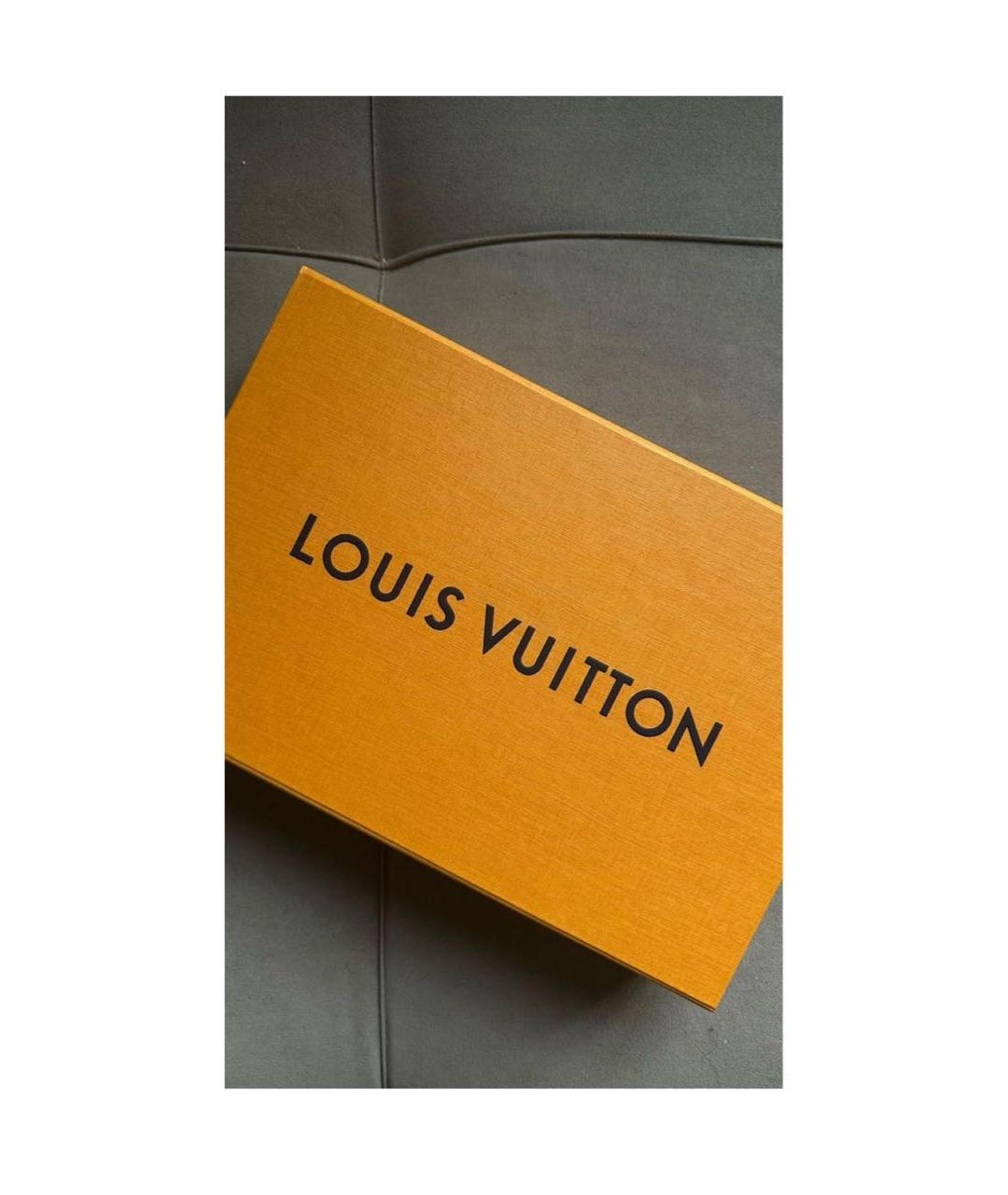 LOUIS VUITTON Серый шерстяной шарф, фото 2