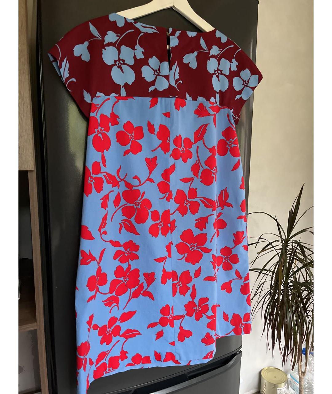 WEEKEND MAX MARA Голубое хлопковое повседневное платье, фото 5