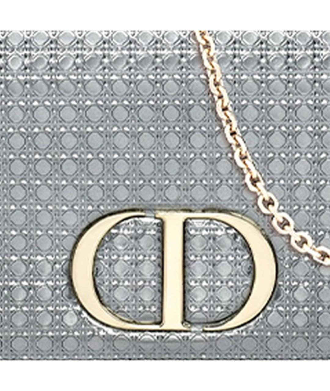 CHRISTIAN DIOR Серая поясная сумка, фото 6