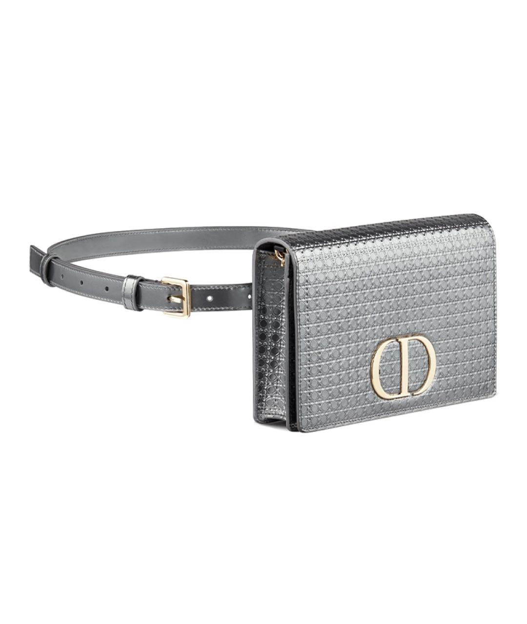 CHRISTIAN DIOR Серая поясная сумка, фото 2