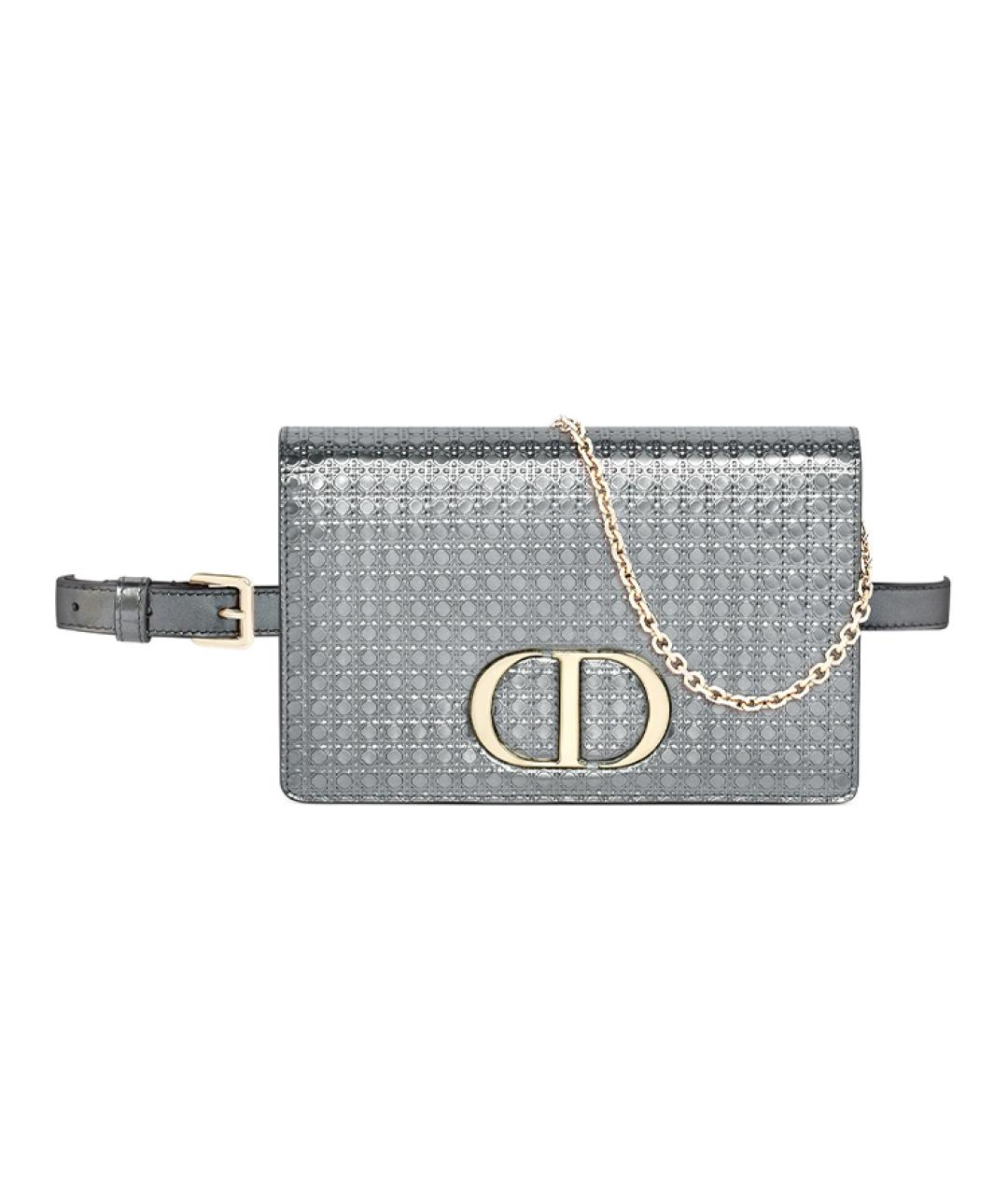 CHRISTIAN DIOR Серая поясная сумка, фото 1