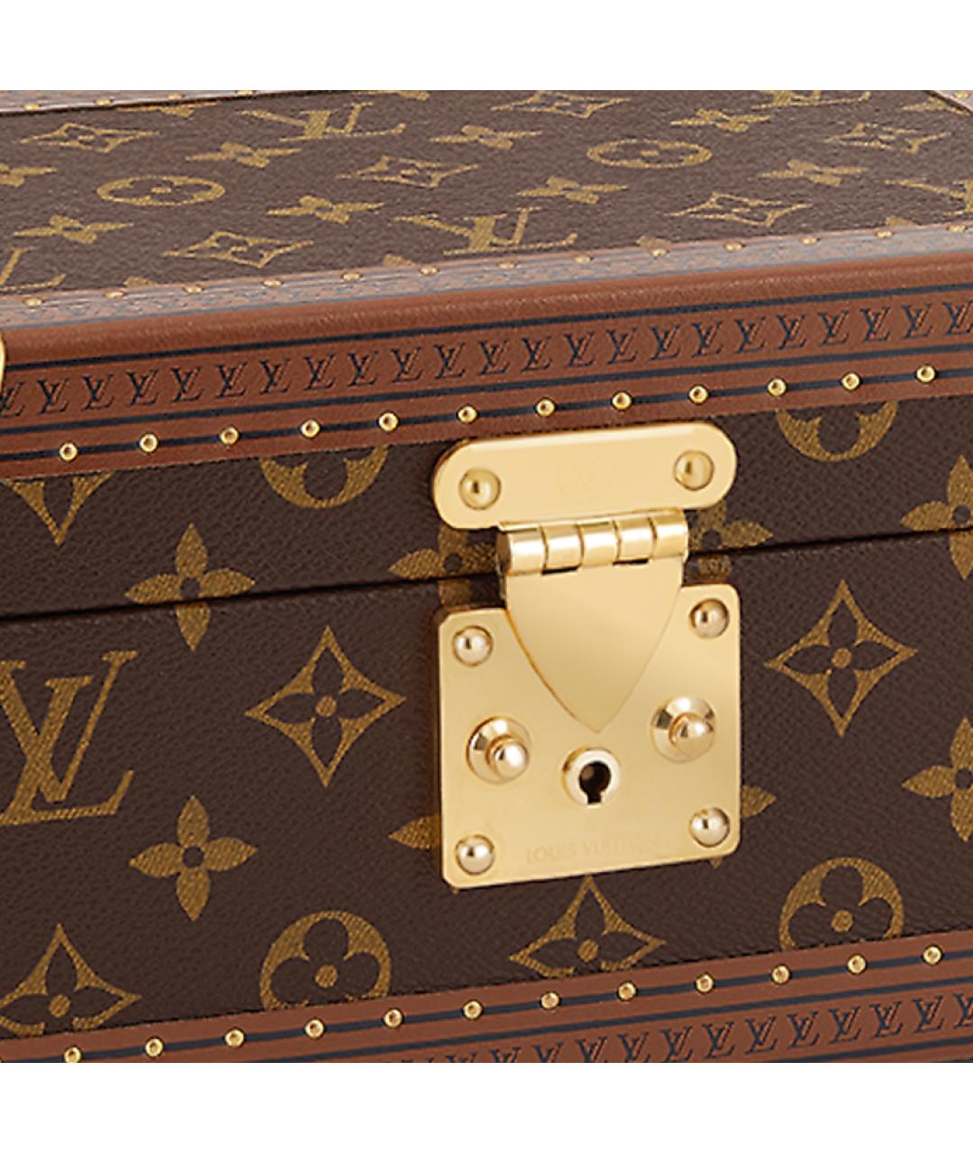 LOUIS VUITTON Коричневый кожаный чемодан, фото 4
