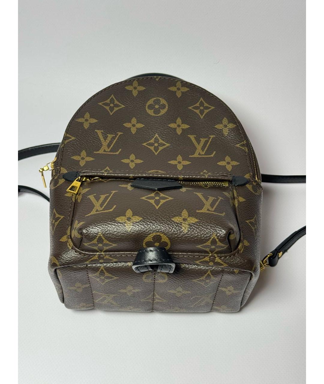 LOUIS VUITTON Коричневый рюкзак, фото 6