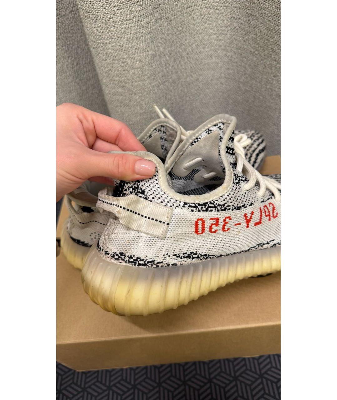 ADIDAS YEEZY Белые низкие кроссовки / кеды, фото 6