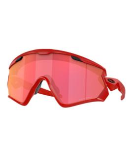 OAKLEY Солнцезащитные очки