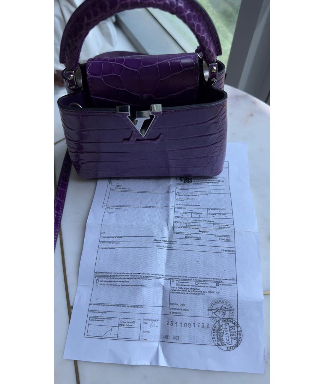 LOUIS VUITTON Фиолетовая сумка с короткими ручками из экзотической кожи, фото 6