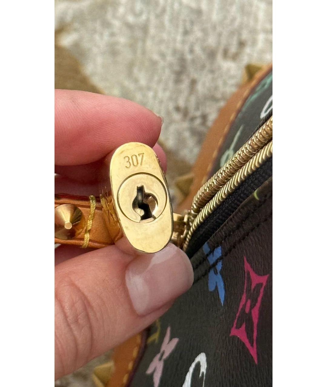 LOUIS VUITTON Мульти сумка с короткими ручками, фото 7