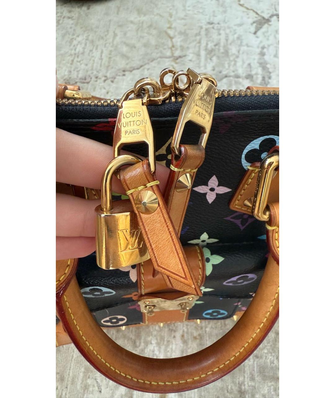 LOUIS VUITTON Мульти сумка с короткими ручками, фото 4