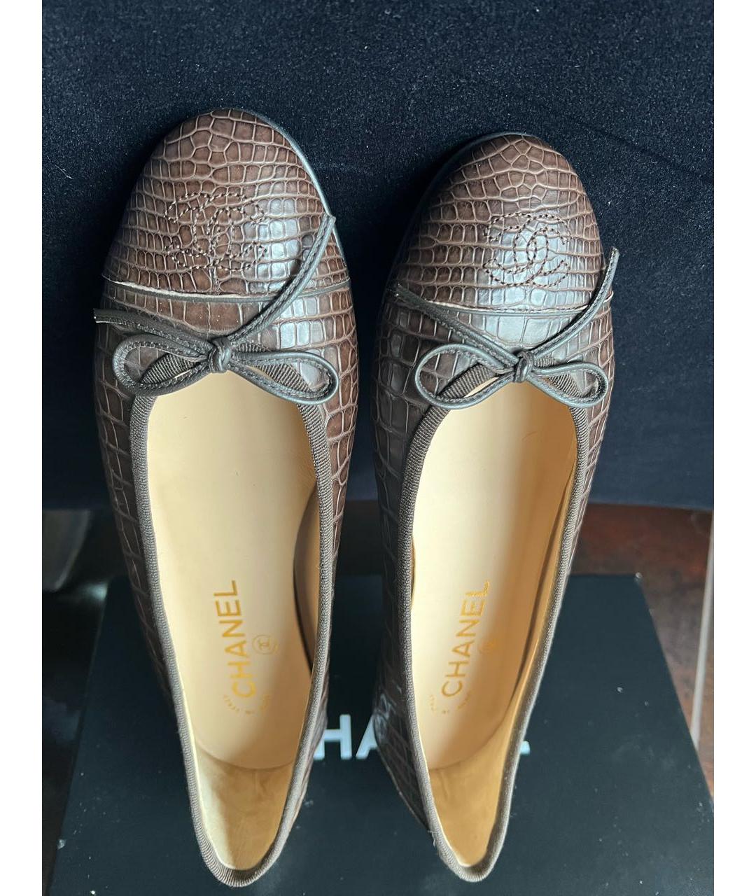 CHANEL Коричневые балетки из экзотической кожи, фото 2