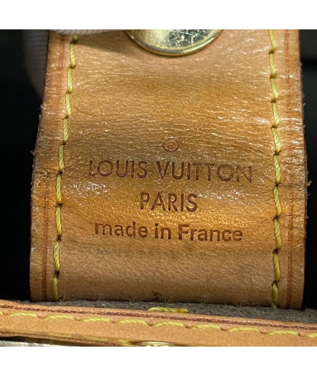 LOUIS VUITTON Мульти кожаная сумка с короткими ручками, фото 5