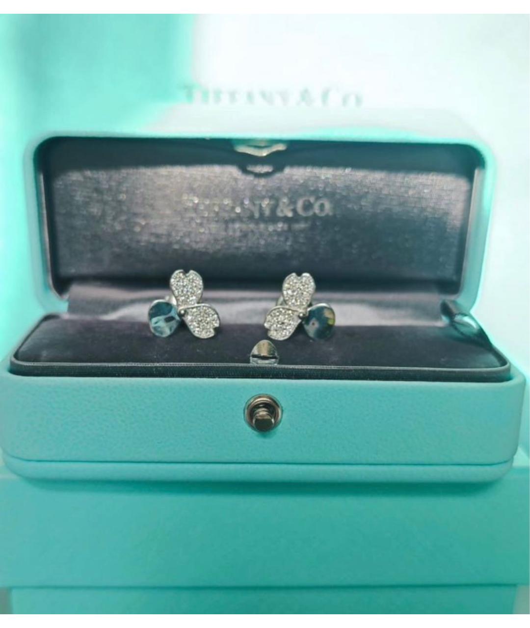 TIFFANY&CO Серебряные платиновые серьги, фото 2