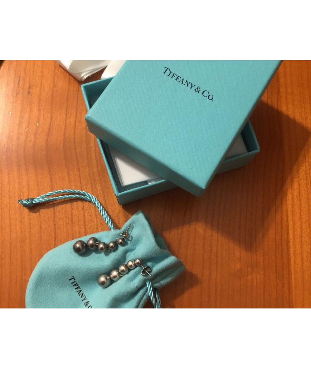TIFFANY&CO Серебряные серебряные серьги, фото 3