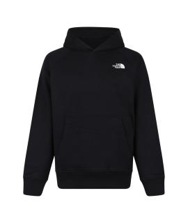 THE NORTH FACE Худи/толстовка