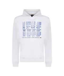 THE NORTH FACE Худи/толстовка