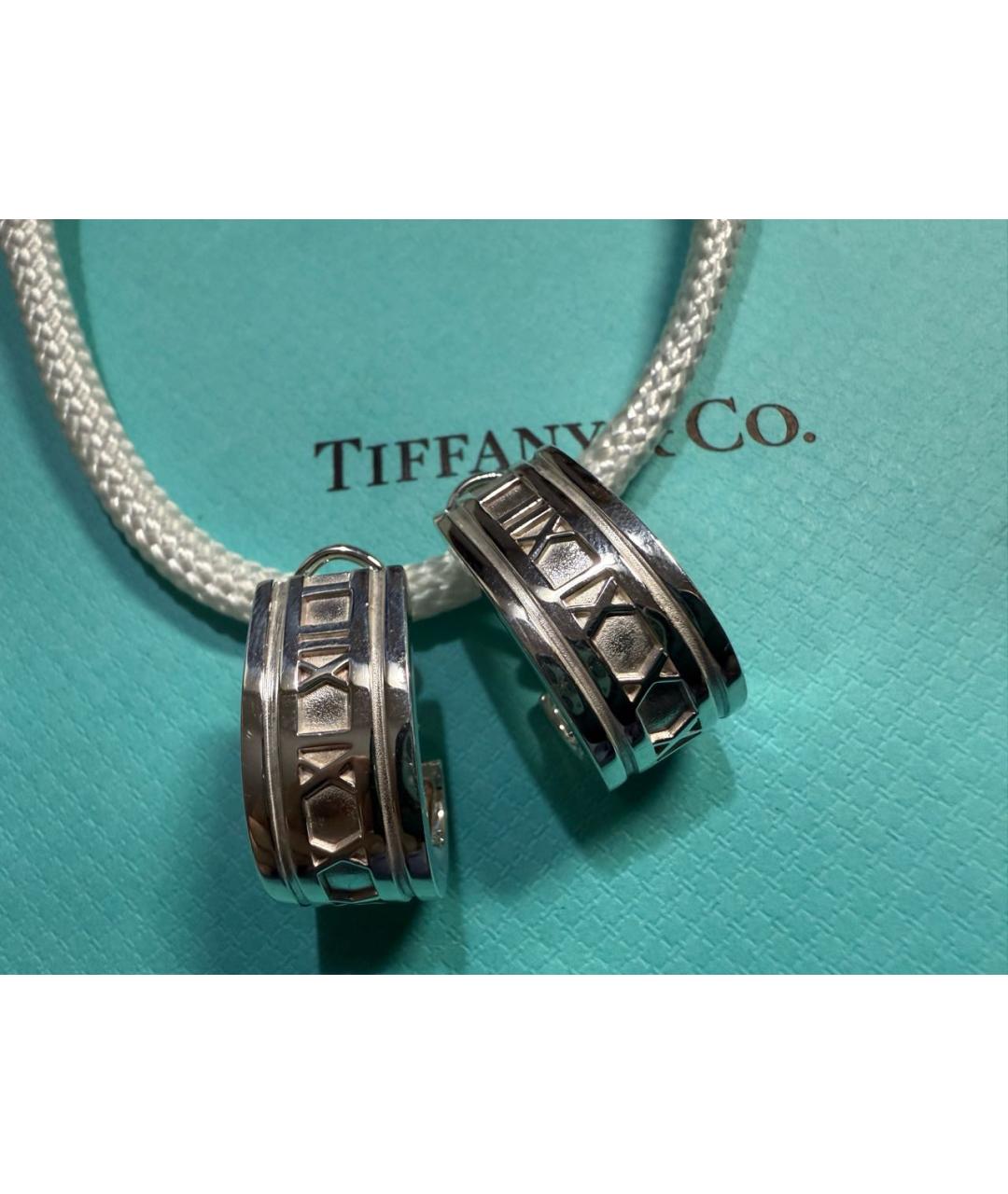 TIFFANY&CO Серебряные серебряные серьги, фото 6