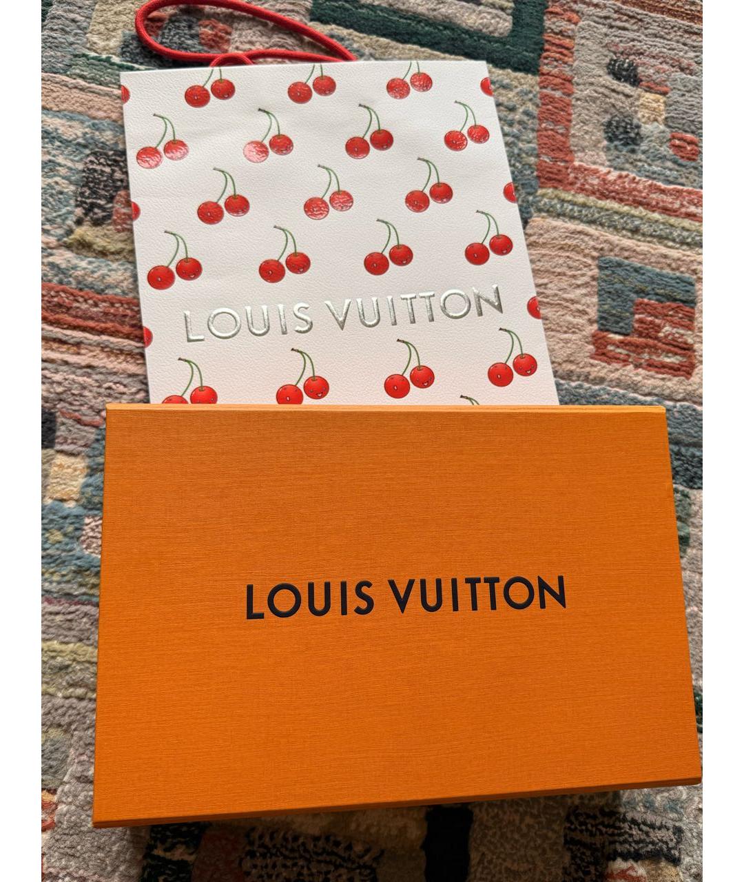 LOUIS VUITTON Мульти полиамидовый купальник, фото 5
