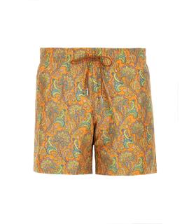ETRO Плавки