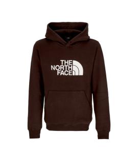 THE NORTH FACE Худи/толстовка