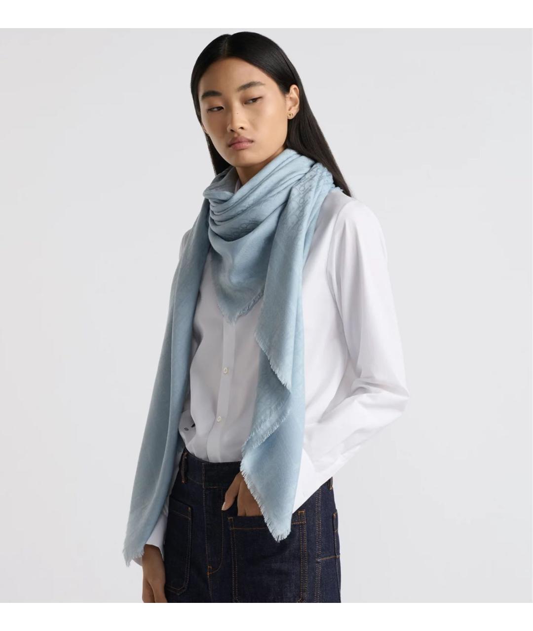 CHRISTIAN DIOR Голубой платок, фото 2