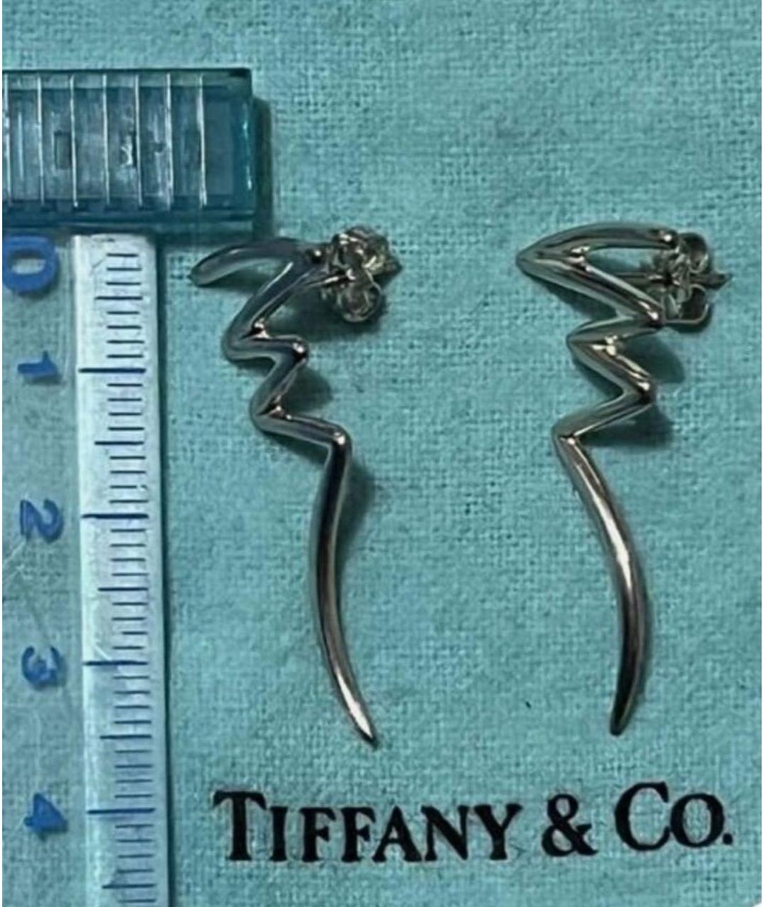 TIFFANY&CO Серебряные серебряные серьги, фото 3
