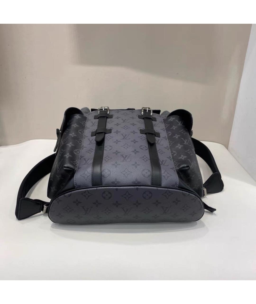 LOUIS VUITTON Серый кожаный рюкзак, фото 5