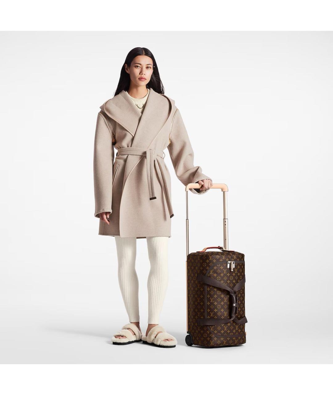 LOUIS VUITTON Коричневый кожаный чемодан, фото 8