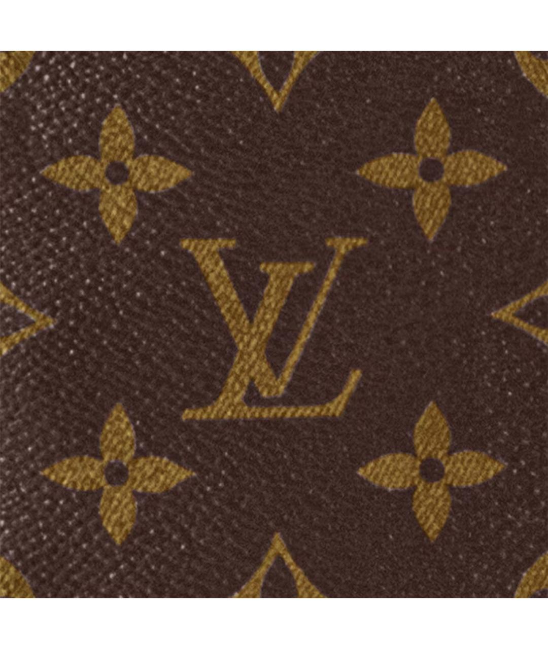 LOUIS VUITTON Коричневый кожаный рюкзак, фото 4