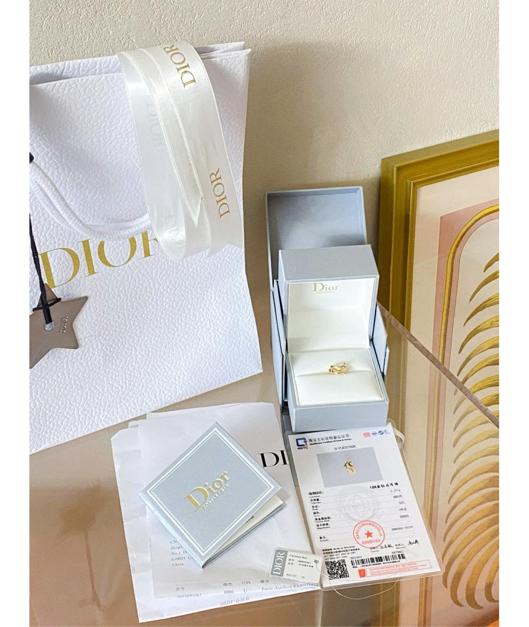 CHRISTIAN DIOR Золотые серьги из розового золота, фото 2