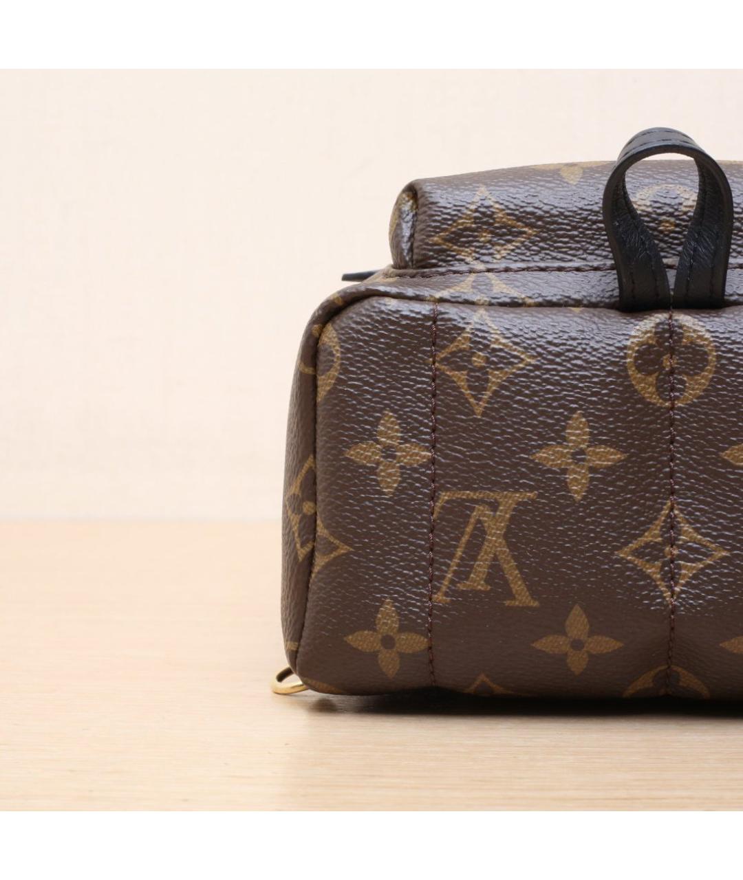 LOUIS VUITTON Коричневый рюкзак, фото 9