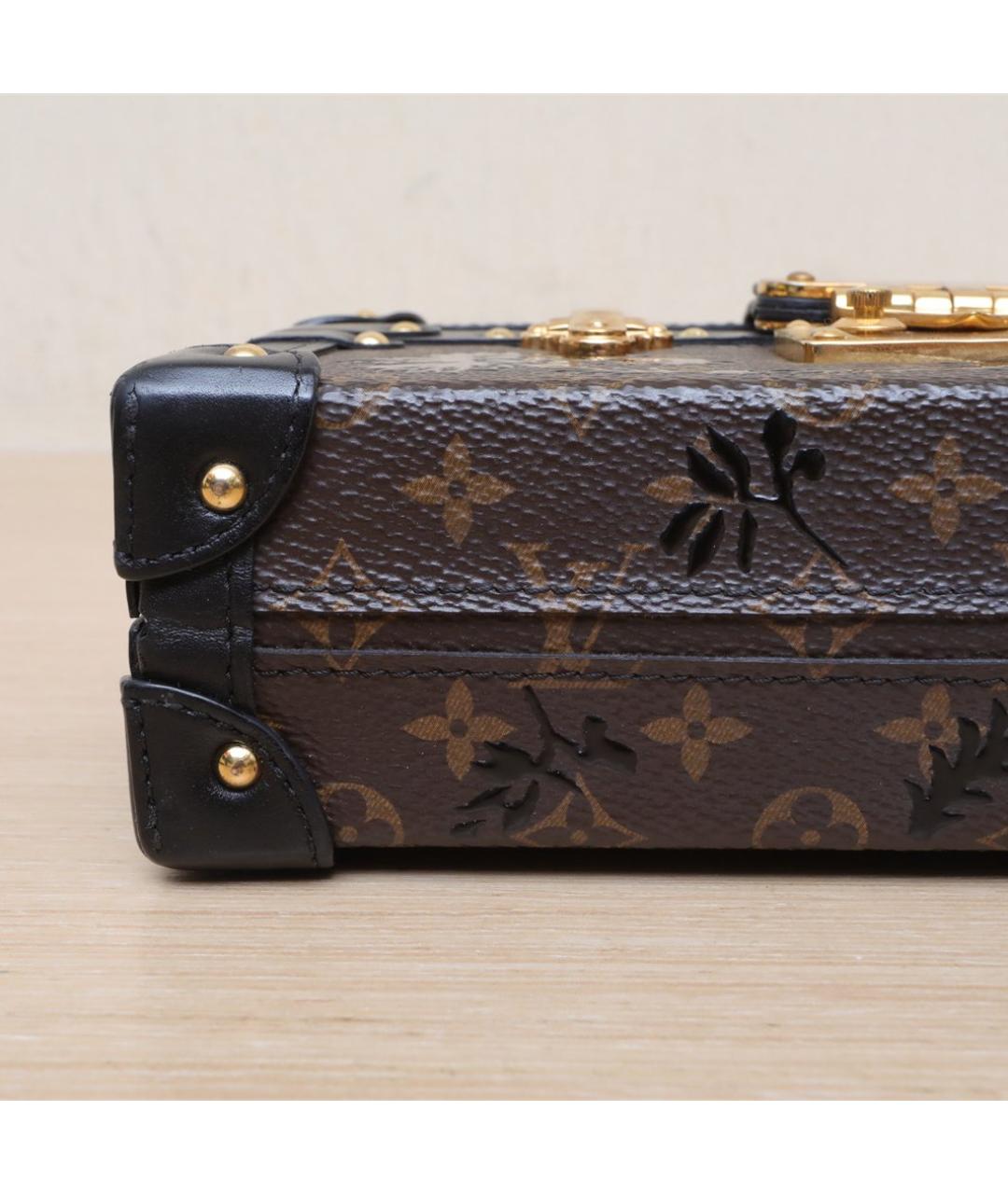 LOUIS VUITTON Коричневая сумка через плечо, фото 9