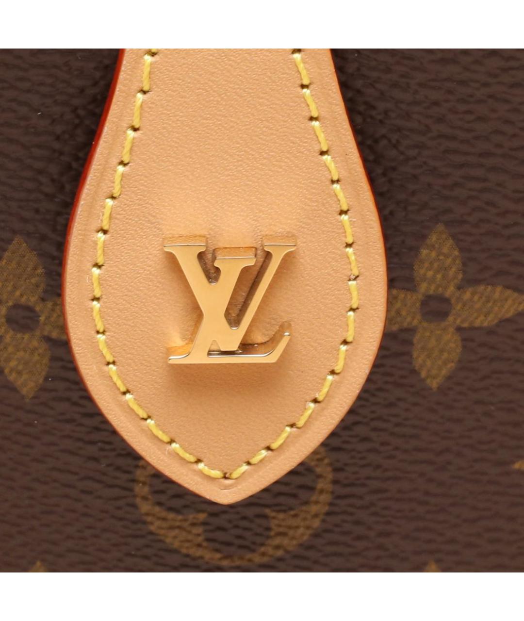 LOUIS VUITTON Коричневая сумка через плечо, фото 8