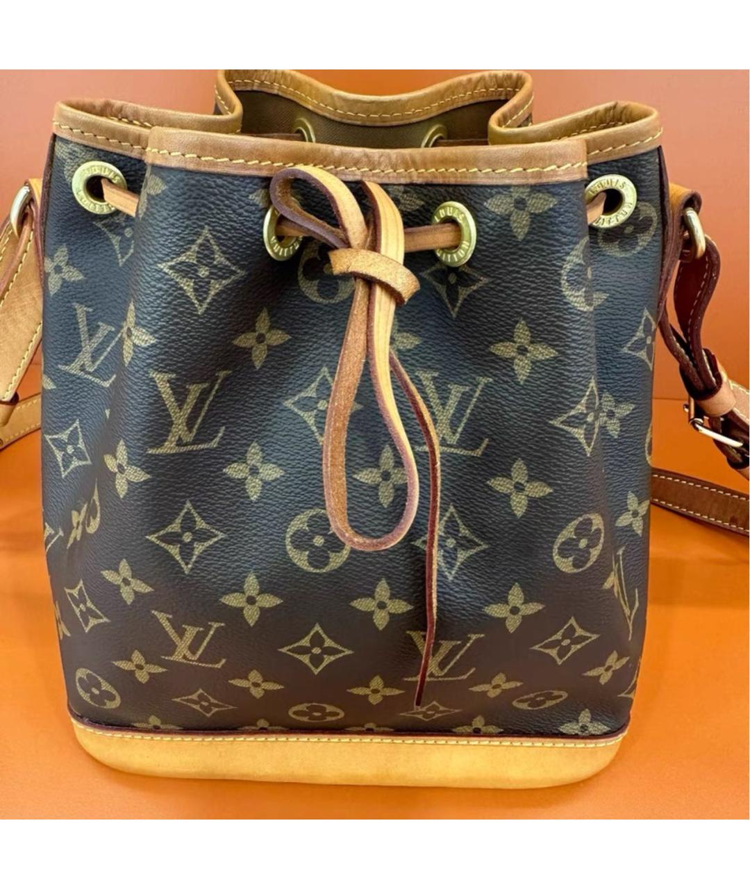 LOUIS VUITTON Коричневая кожаная сумка тоут, фото 7