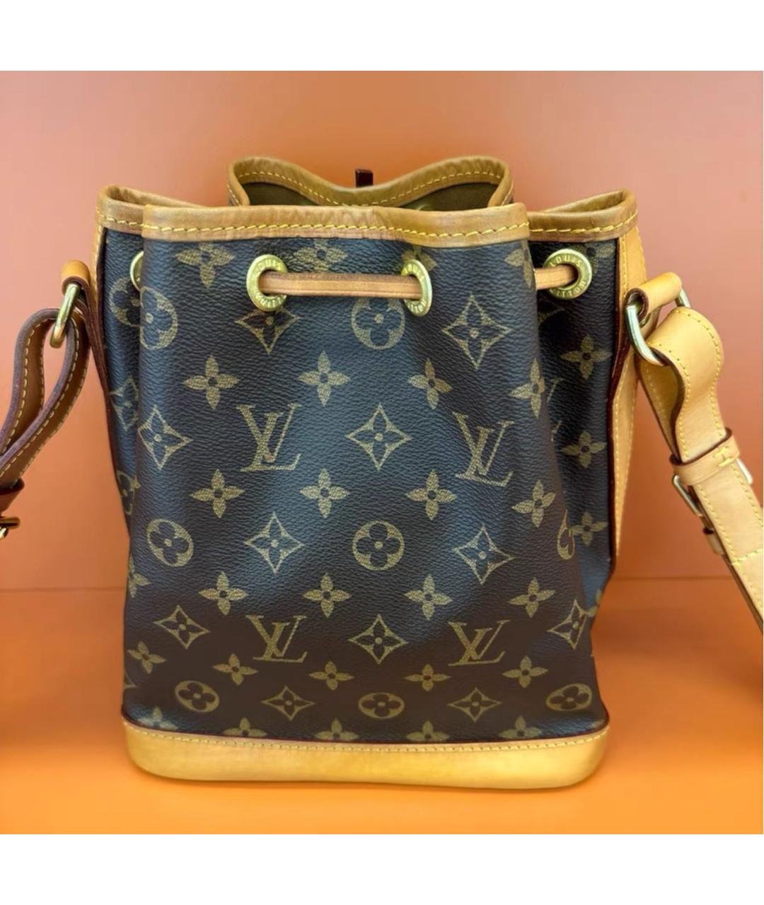 LOUIS VUITTON Коричневая кожаная сумка тоут, фото 2