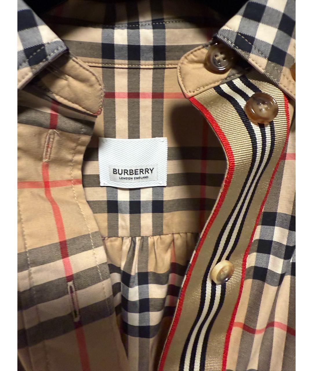 BURBERRY Бежевое хлопковое повседневное платье, фото 3