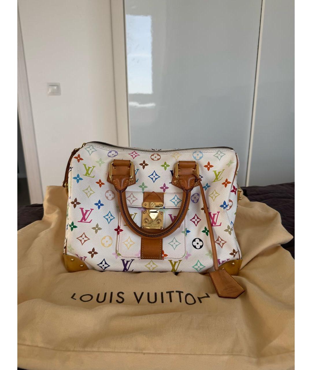 LOUIS VUITTON Мульти кожаная сумка с короткими ручками, фото 2