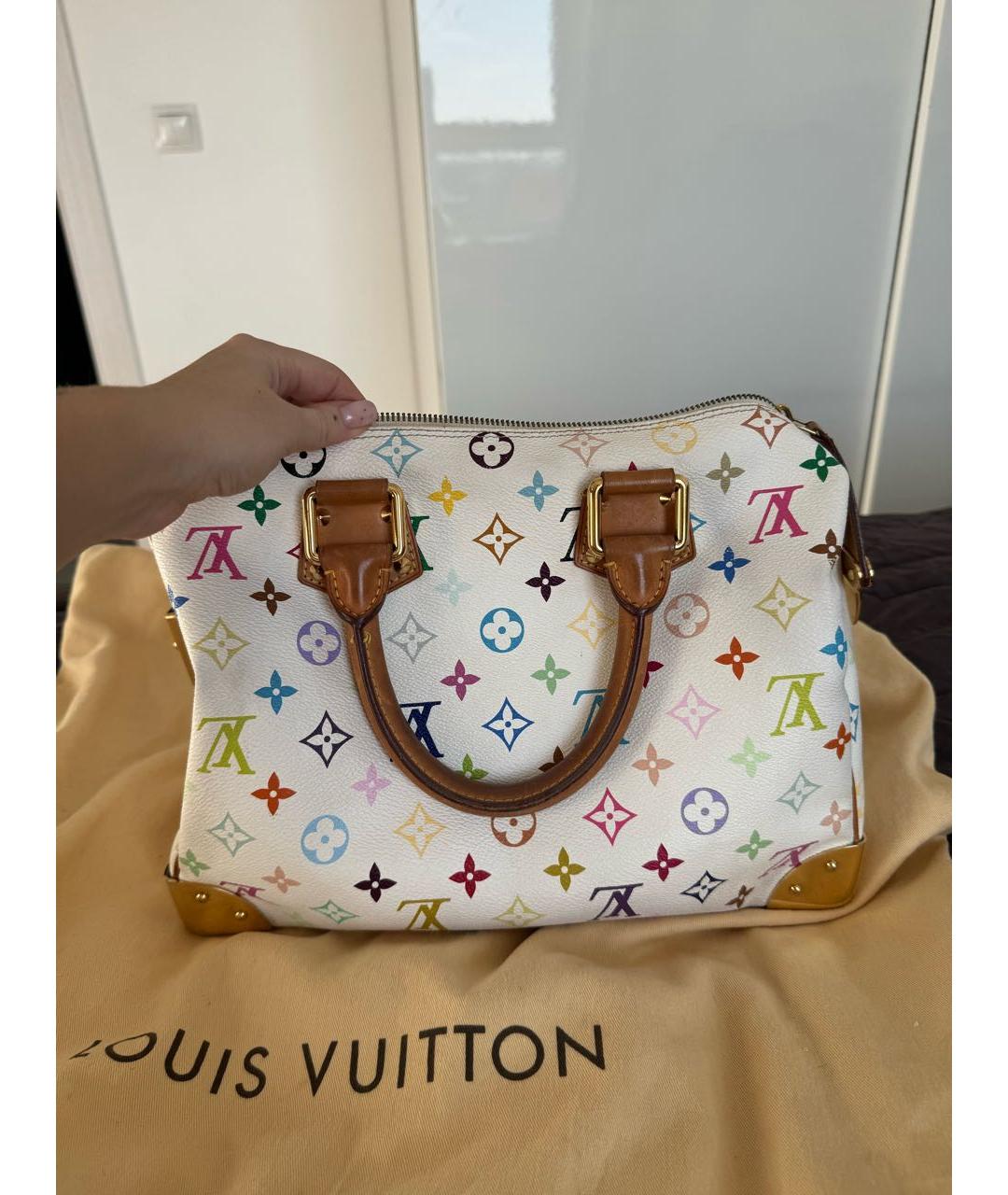 LOUIS VUITTON Мульти кожаная сумка с короткими ручками, фото 4