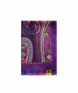 ETRO Шарф