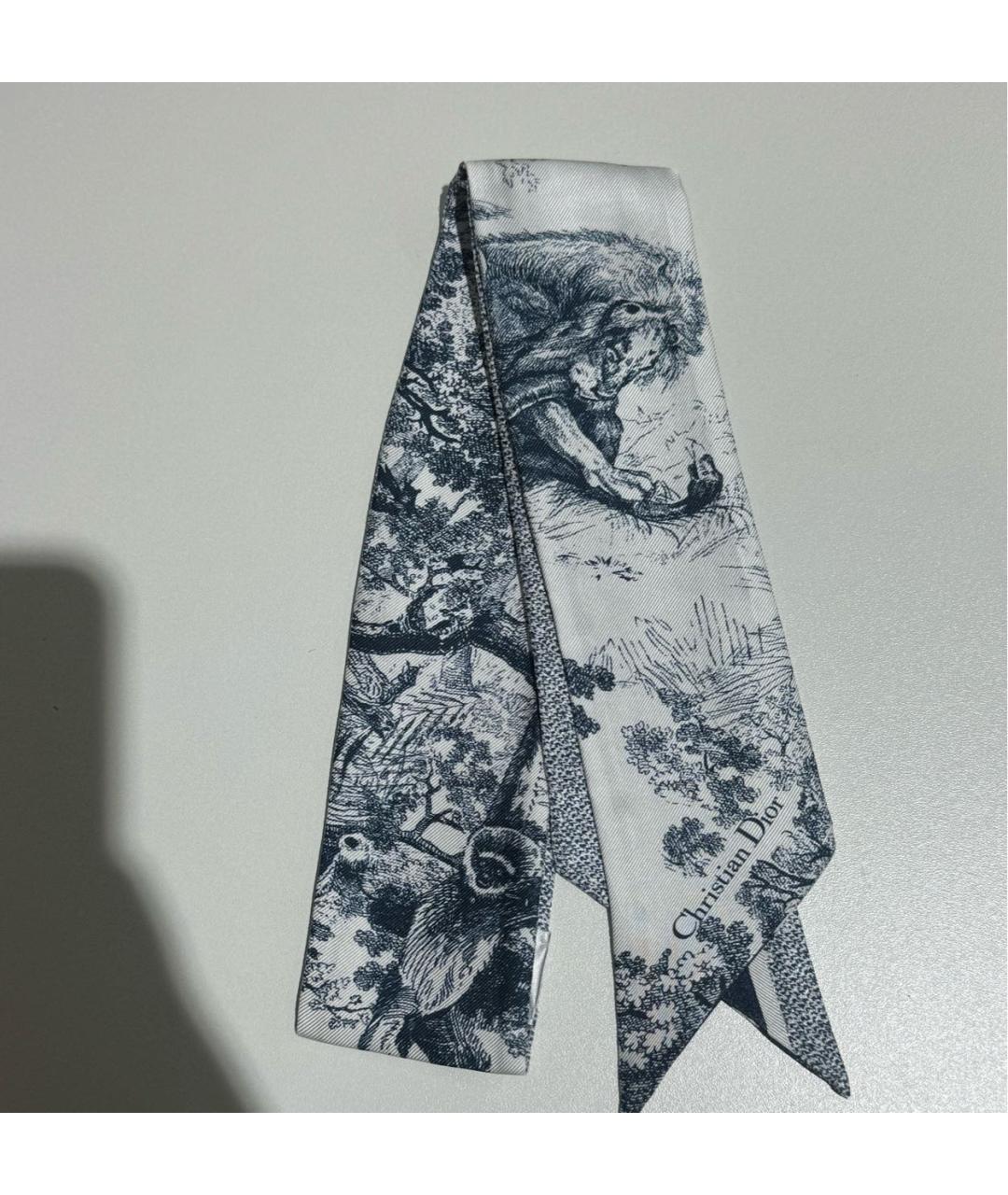 CHRISTIAN DIOR Повязка, фото 6