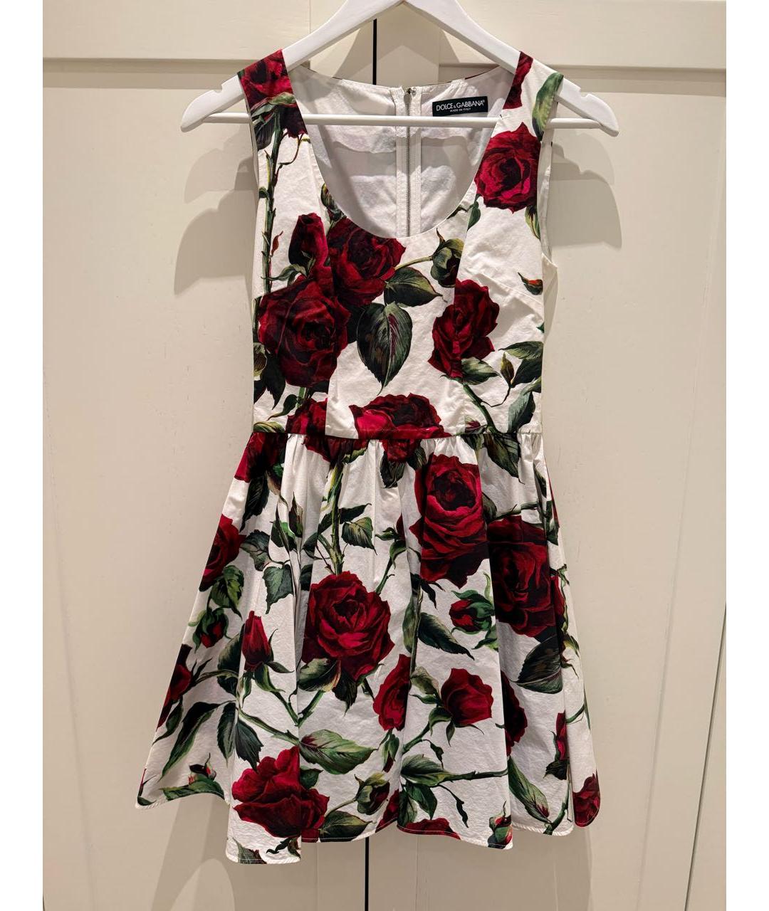 DOLCE&GABBANA Мульти хлопковое коктейльное платье, фото 5