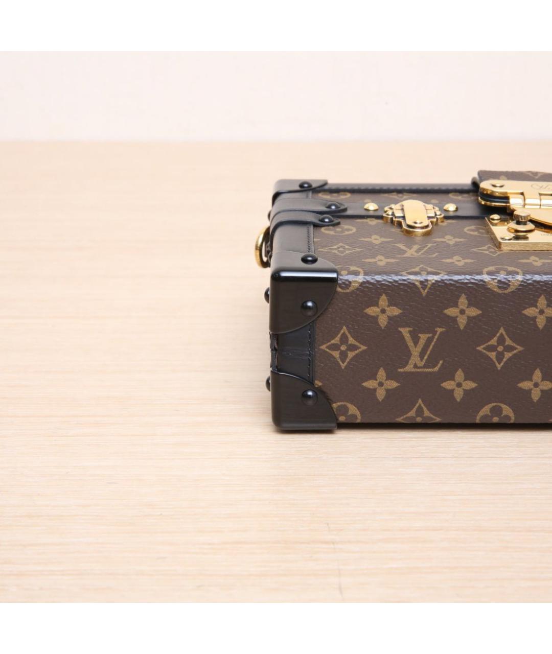 LOUIS VUITTON Коричневая кожаная сумка через плечо, фото 9