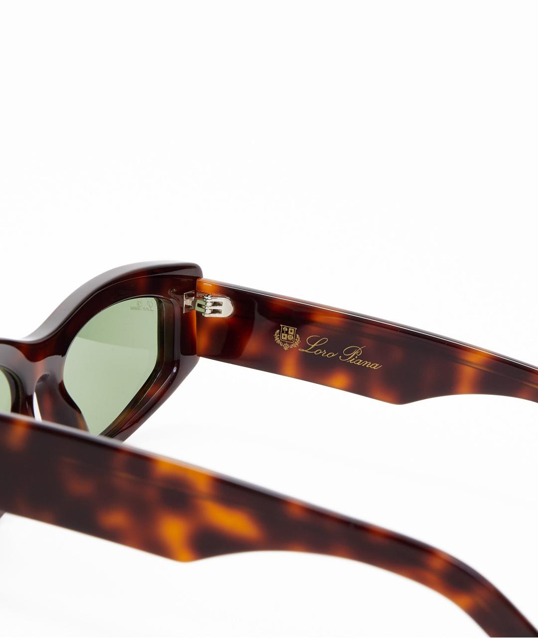 LORO PIANA Коричневые пластиковые солнцезащитные очки, фото 4