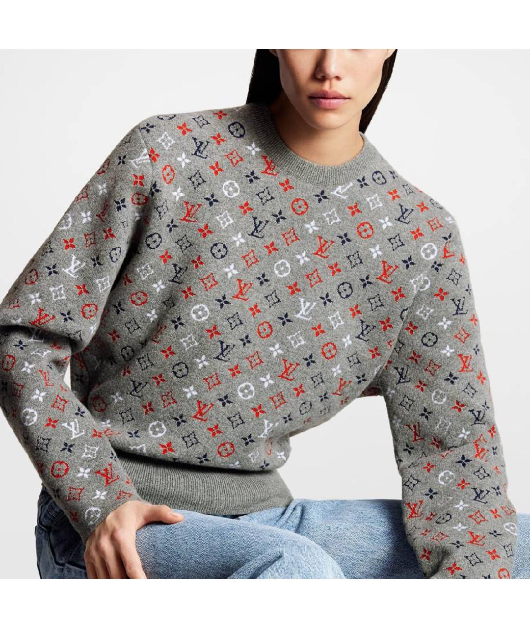 LOUIS VUITTON Серый джемпер / свитер, фото 3