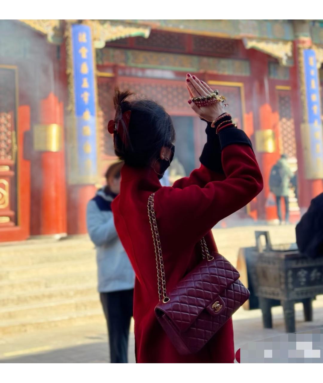 CHANEL Фиолетовая кожаная сумка через плечо, фото 8