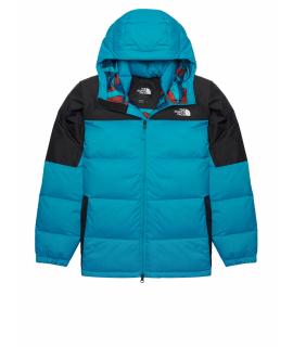 THE NORTH FACE Пуховик
