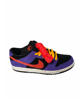 

Низкие кроссовки / кеды NIKE SB Dunk Low ACG Terra